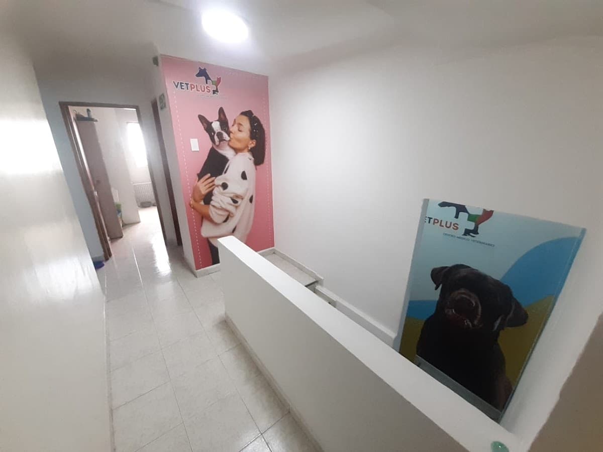 VETPLUS CENTRO VETERINARIO — foto