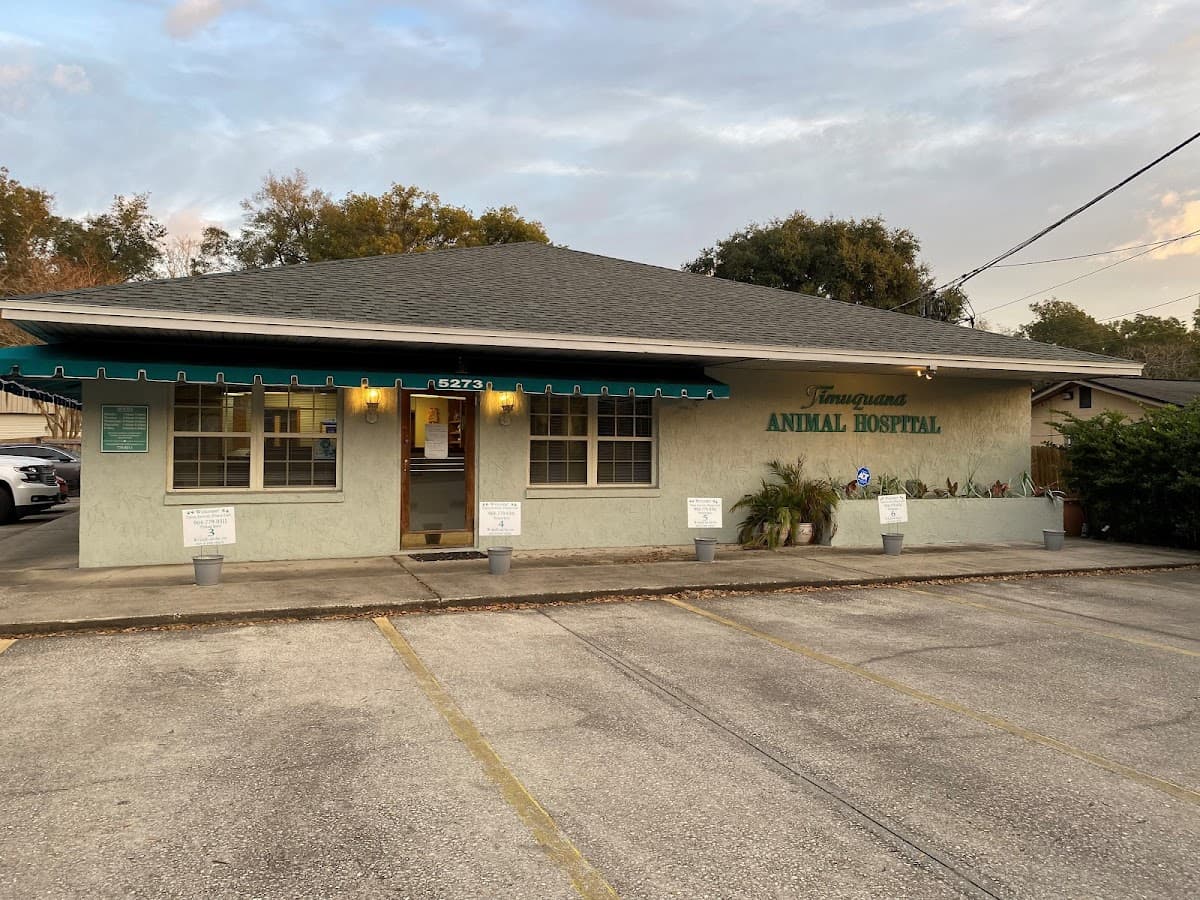 Timuquana Animal Hospital — foto
