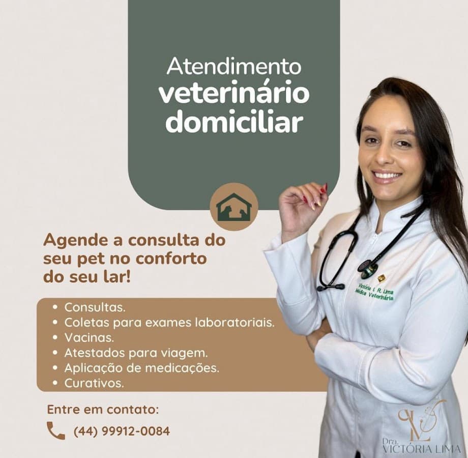 Veterinária a domicilio Dra. Victória Lima | Itapema — foto