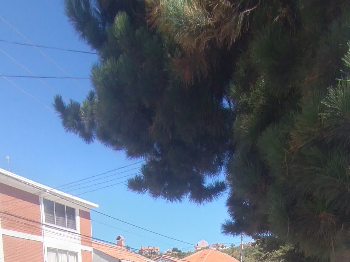 Transporte libre El Alto La Paz — foto