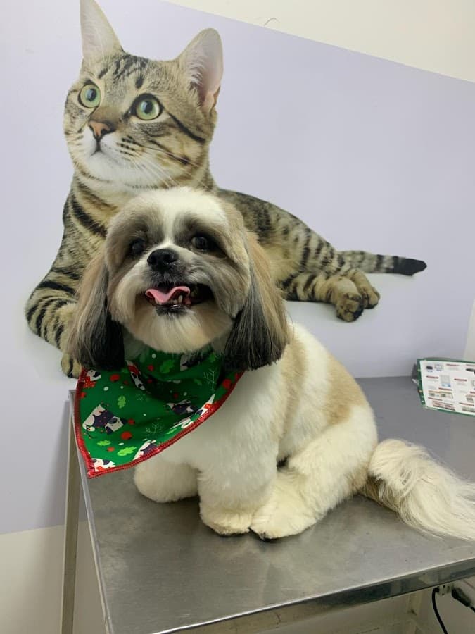 CENTRO VETERINARIO PROANIMALES