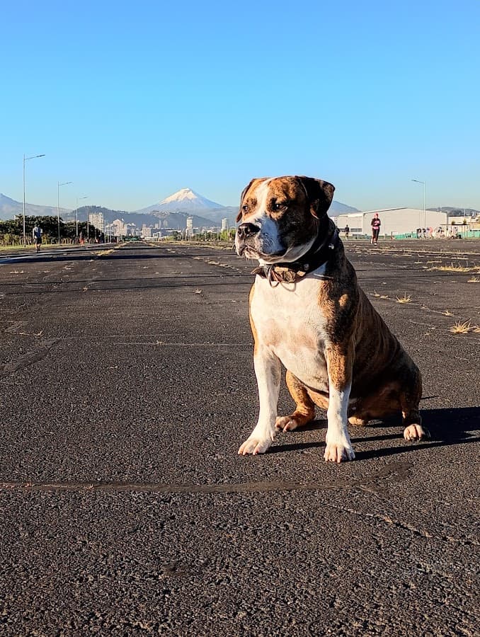 Parque Bicentenario — foto