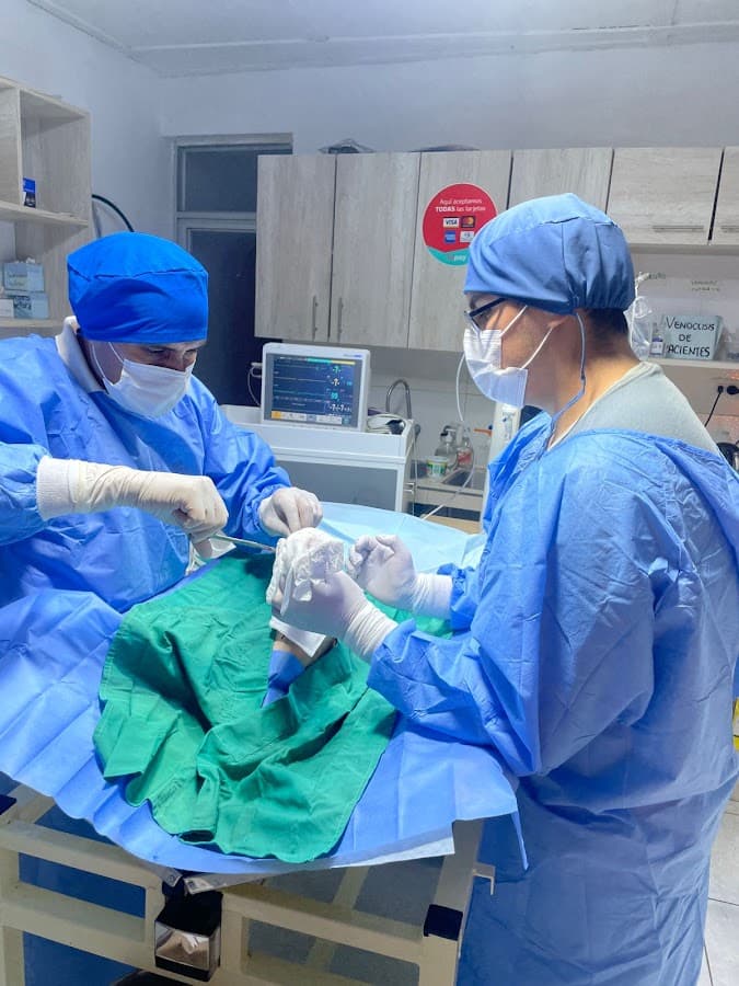 Clinica Veterinaria Valenzuela