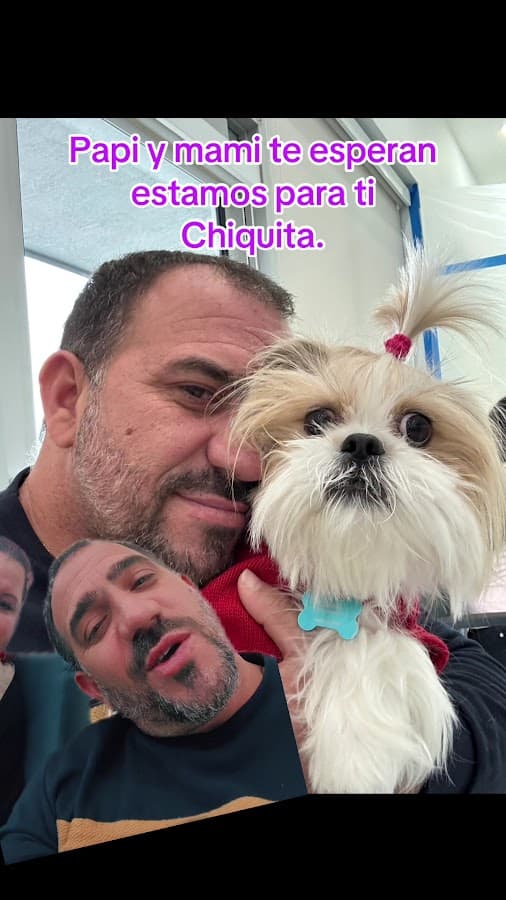 Pet Lovers Animal Clinic @NW 7th St — foto