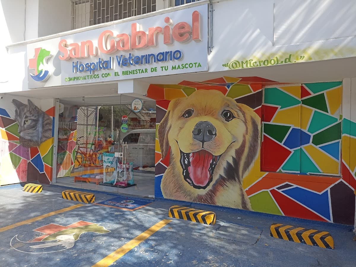 SAN GABRIEL HOSPITAL VETERINARIO