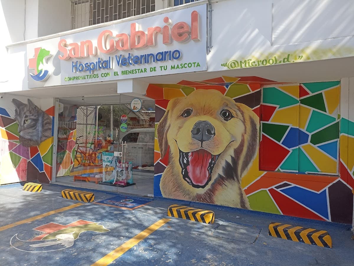 SAN GABRIEL HOSPITAL VETERINARIO — foto