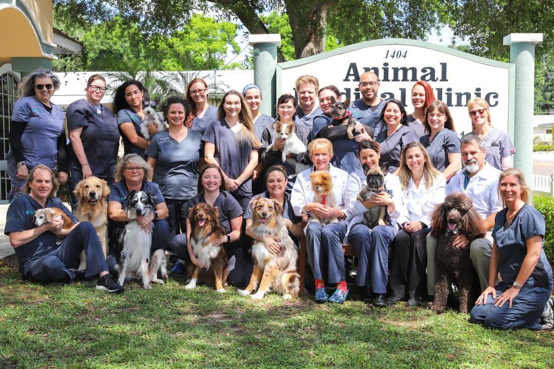 Animal Medical Clinic of Orlando — foto