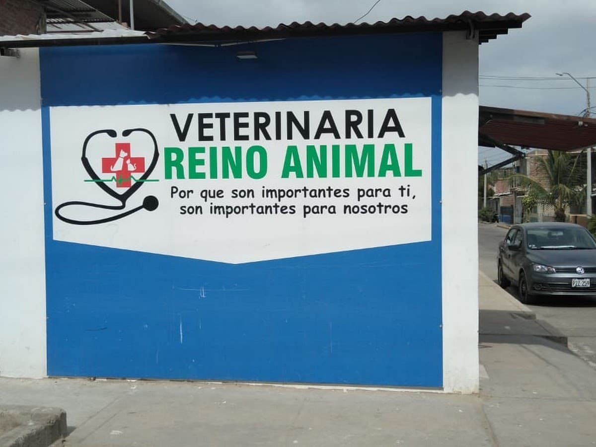 Veterinaria Reino Animal sede central — foto