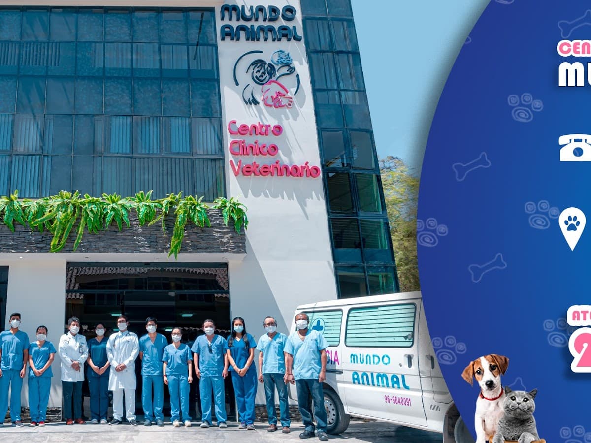Veterinaria Reino Animal sede central — foto