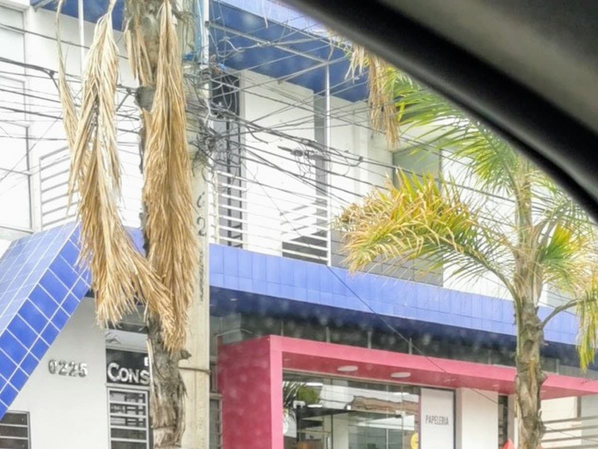 Libreria Deykos (Zona Norte) — foto