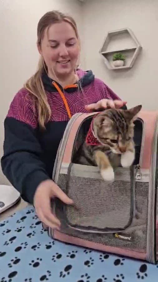 Temple Terrace Animal Hospital — foto
