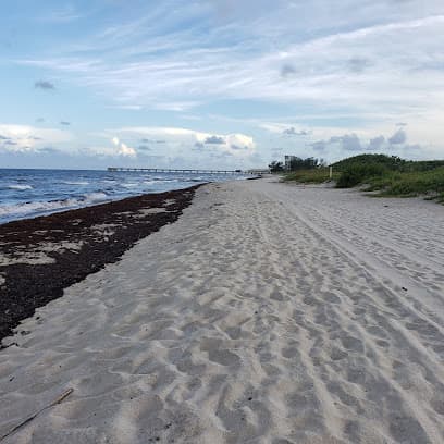 Dr. Von D. Mizell-Eula Johnson State Park