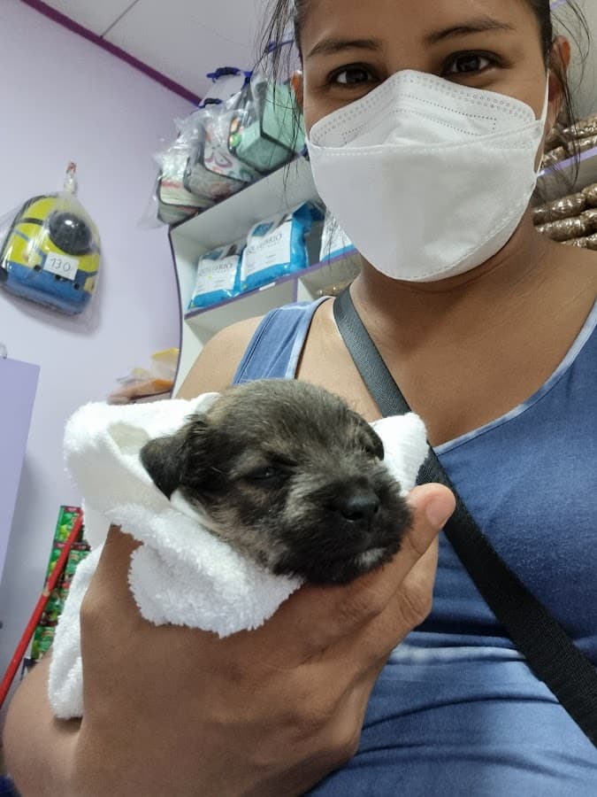 Clínica Veterinaria "IQUITOS PET´S" — foto