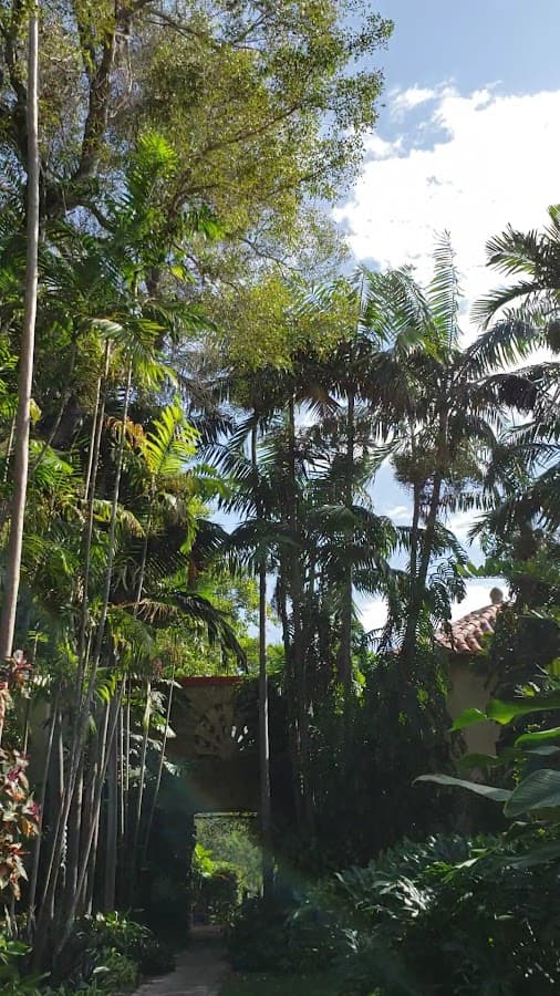 The Kampong — foto