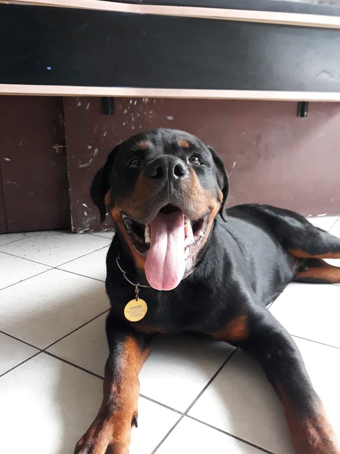 Veterinaria Rey — foto