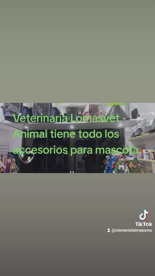 LOMASVET - ANIMAL — foto