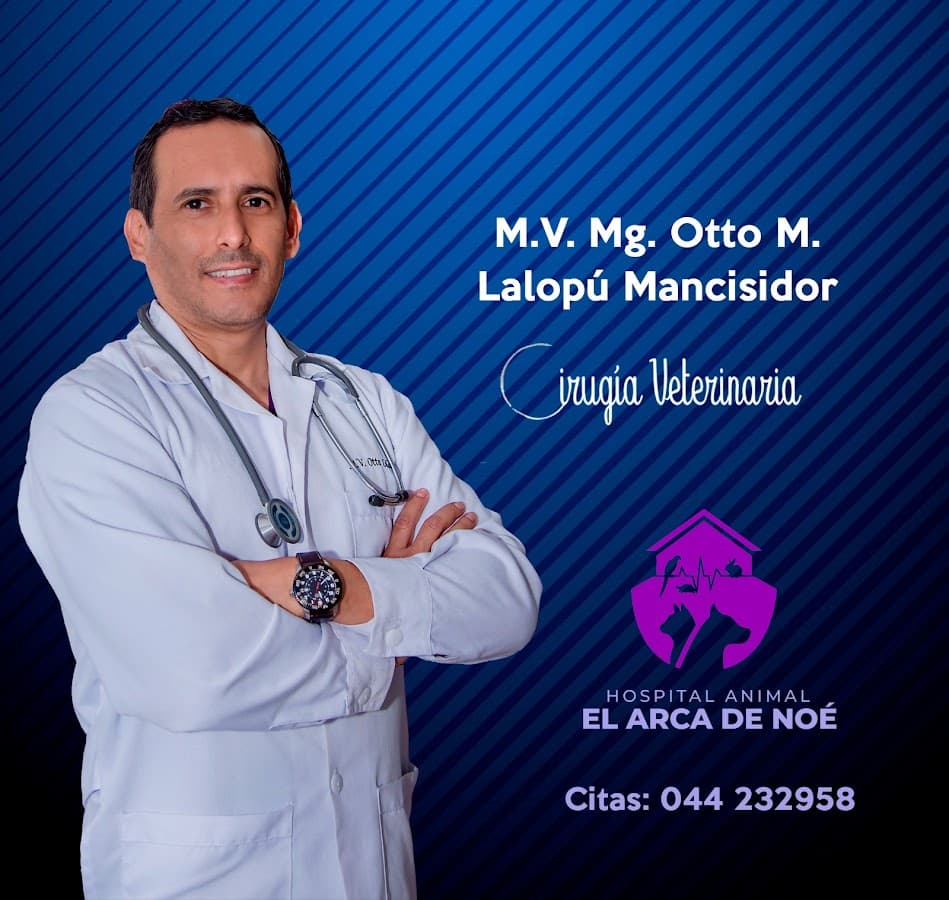 El Arca de Noe — foto