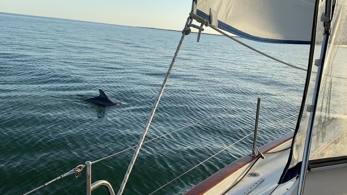 St. Pete Sailing Charters — foto