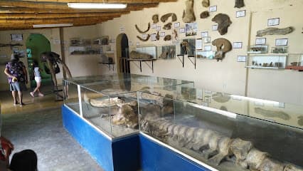Museo Polivalente Elba Aranda De Sarango