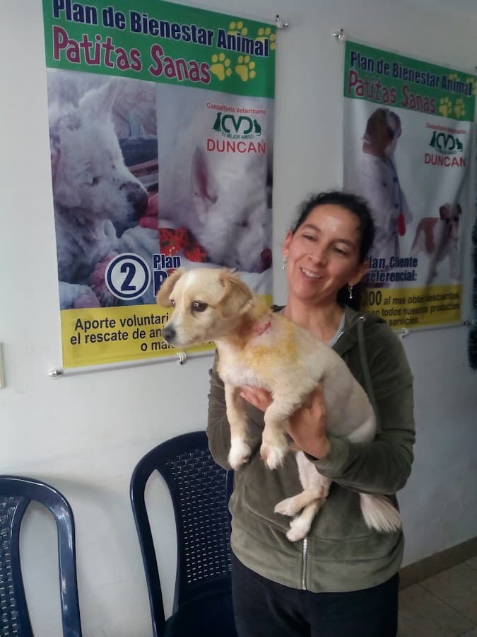Consultorio Veterinario Duncan
