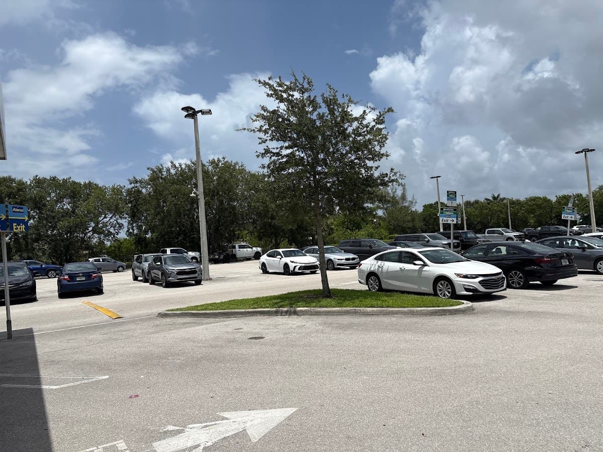 Alamo Rent A Car