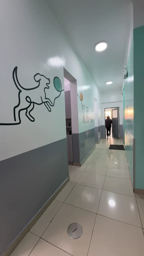 MedVet Clínica Veterinaria - Lince — foto