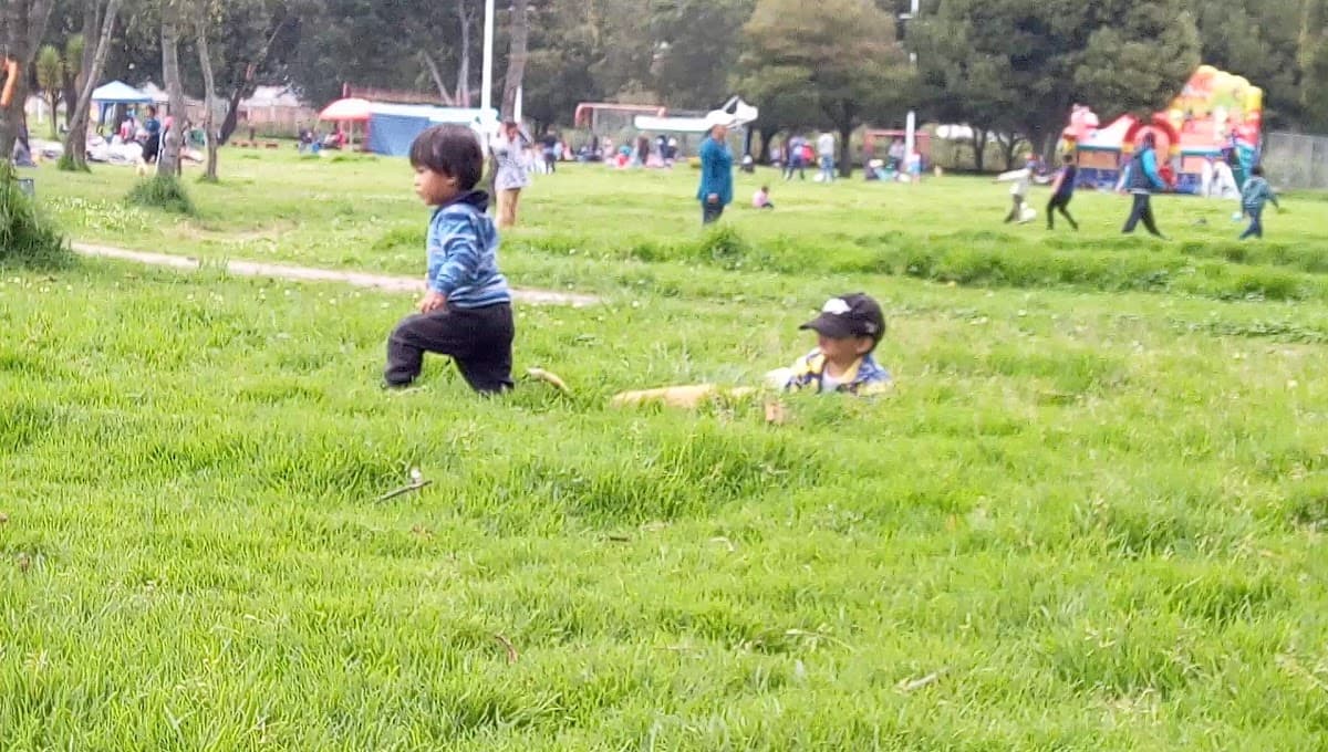 Parque Lineal Caupicho — foto