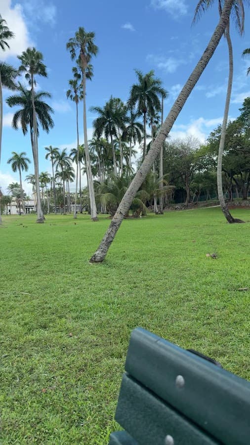 Parque Sewell — foto