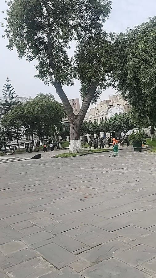Plaza de la Constitución — foto