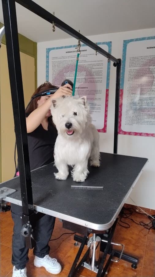 VET & SPA VETERINARIA — foto
