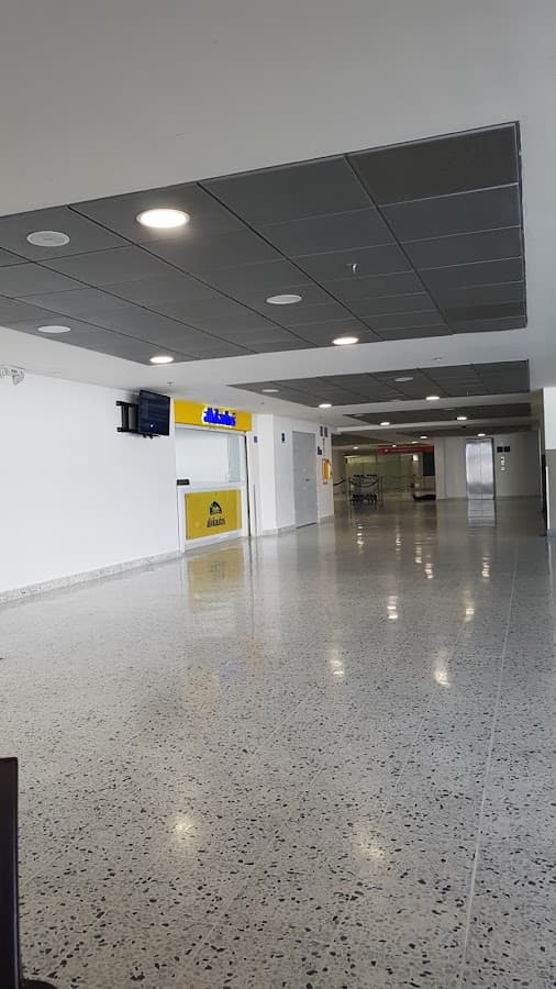 Alquiler de Carros en Bucaramanga Aeropuerto - Alkilautos.com