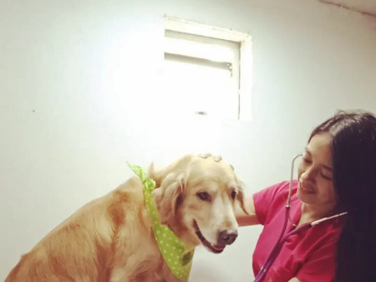 Clínica Veterinaria Kivet — foto