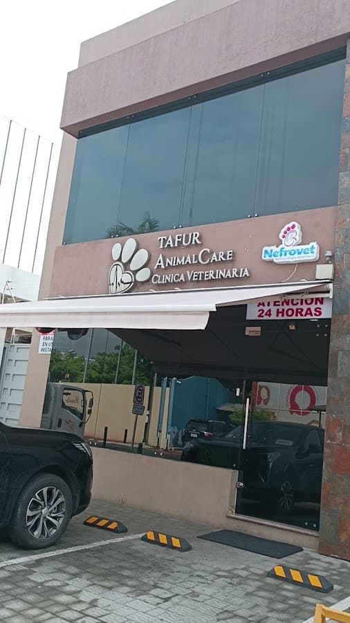 Tafur Animal Care — foto