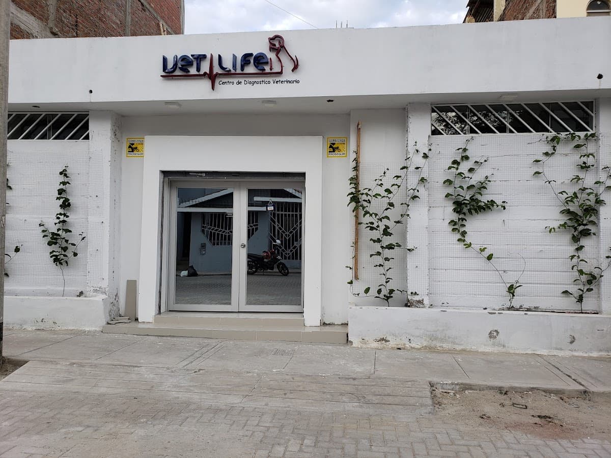 ALIVET — foto