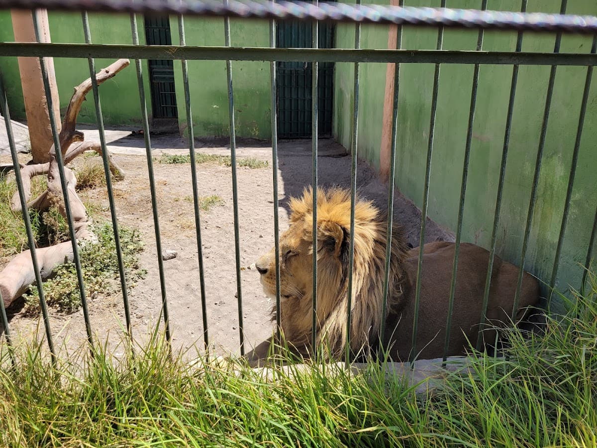 Zoo Mundo