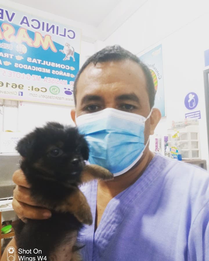 Clínica Veterinaria Maskotas — foto