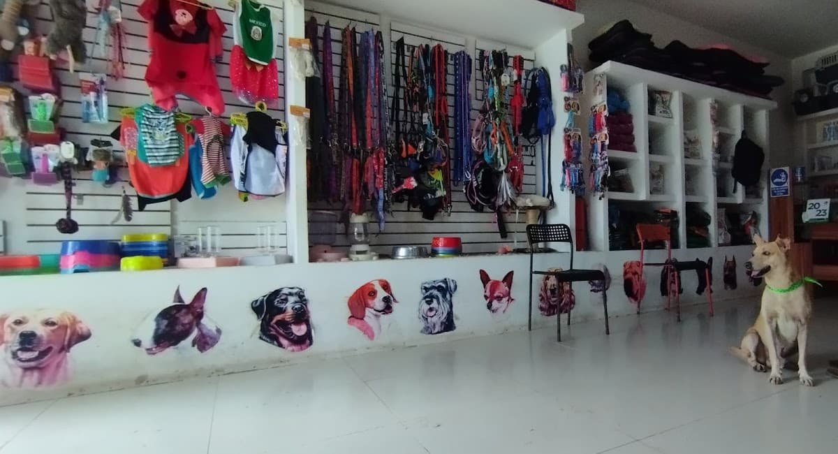 Dog Cat Veterinaria — foto