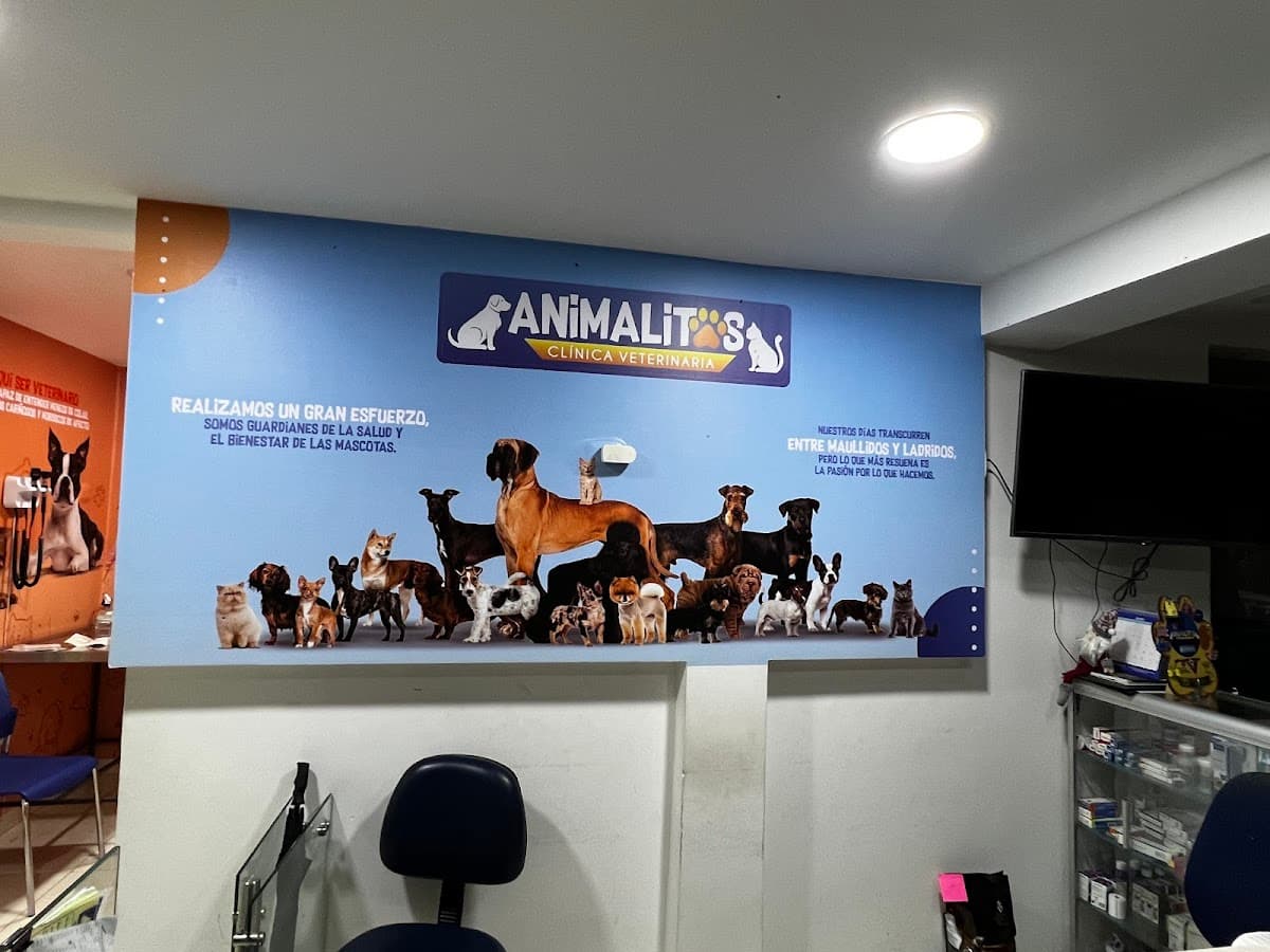 Naturalia Centro Veterinario — foto