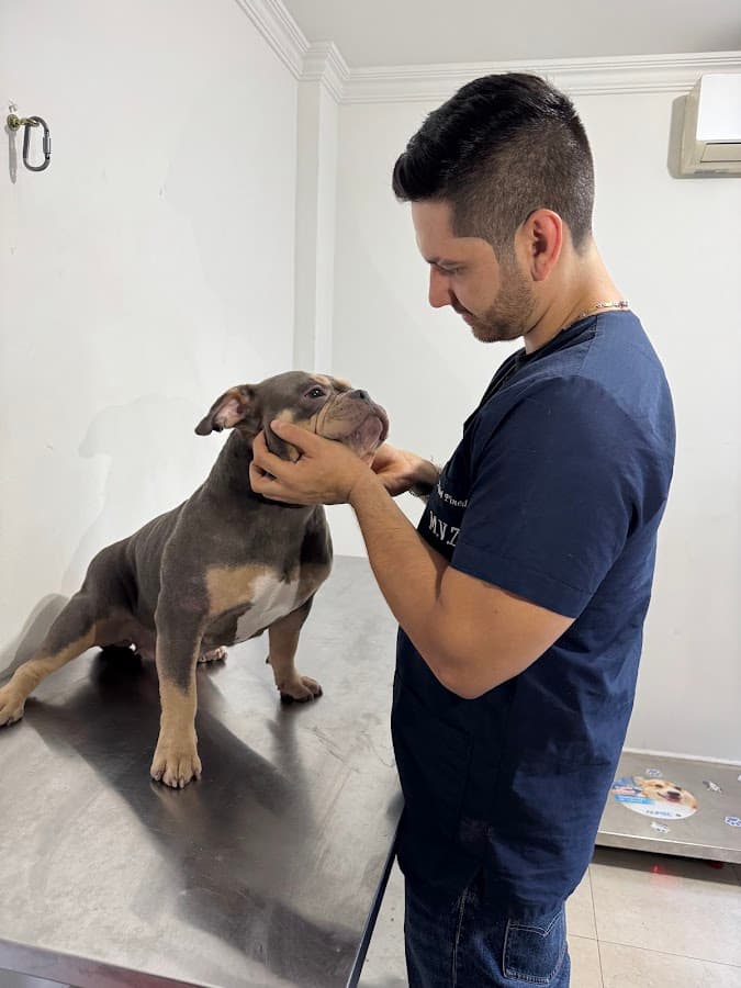 Animal Care Clínica Veterinaria — foto