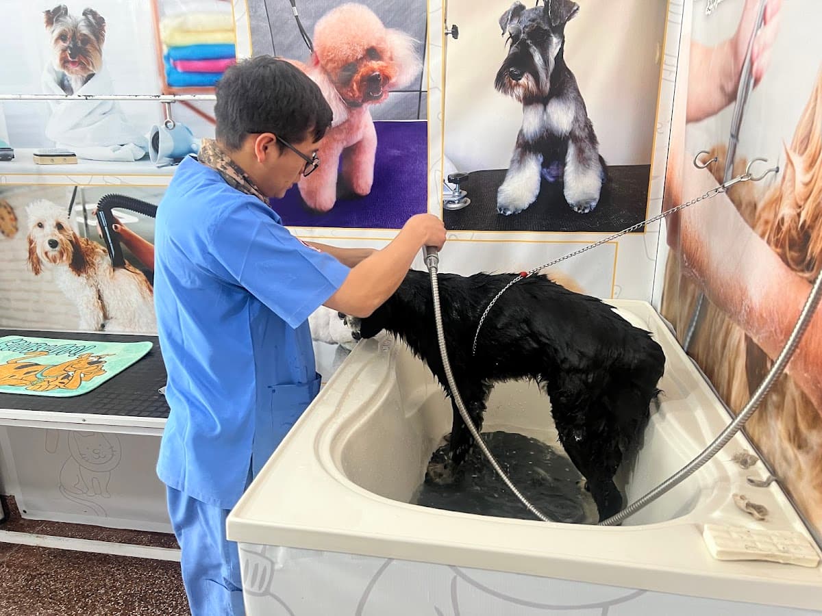 veterinaria VET experts — foto