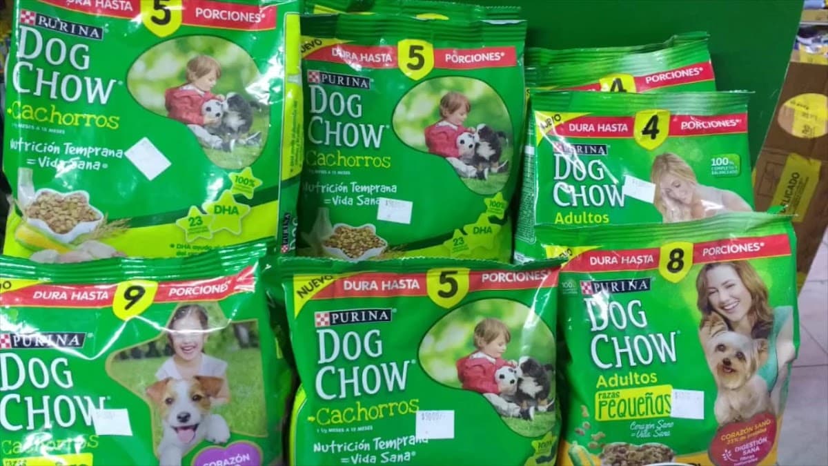 Mascotas Veterinaria — foto