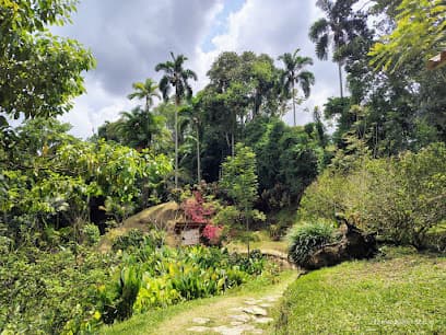 Jardín Botánico San Jorge