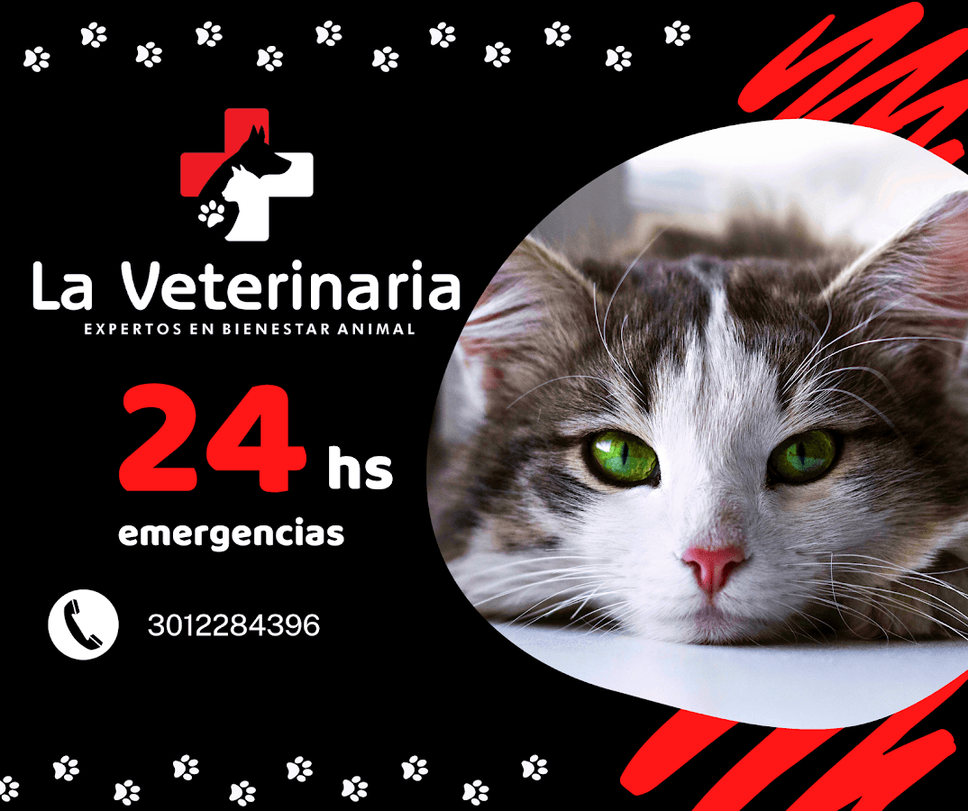 La Veterinaria — foto