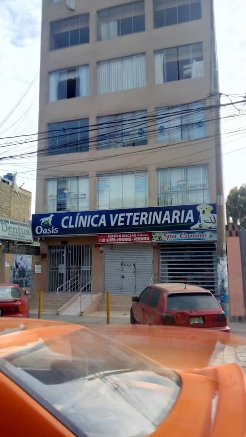 Clinica Veterinaria "Oasis" — foto