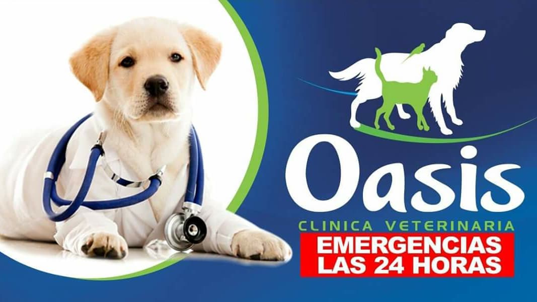 Clinica Veterinaria "Oasis" — foto