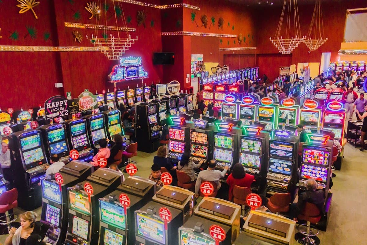 Salon Palmeras Casino Slot
