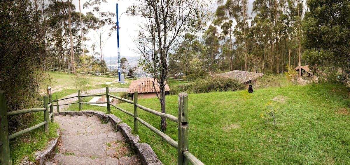 Mirador Cotopaxi — foto