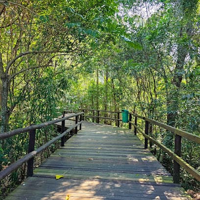 Bosque Pedro Medeiros - Horto Florestal