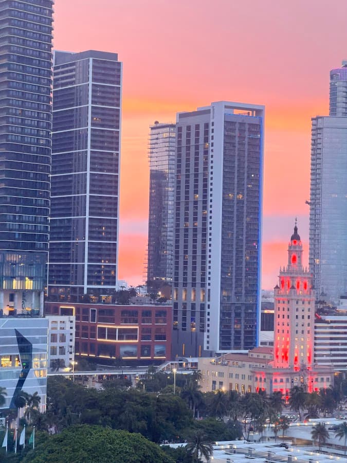 Skyviews Miami Observation Wheel — foto