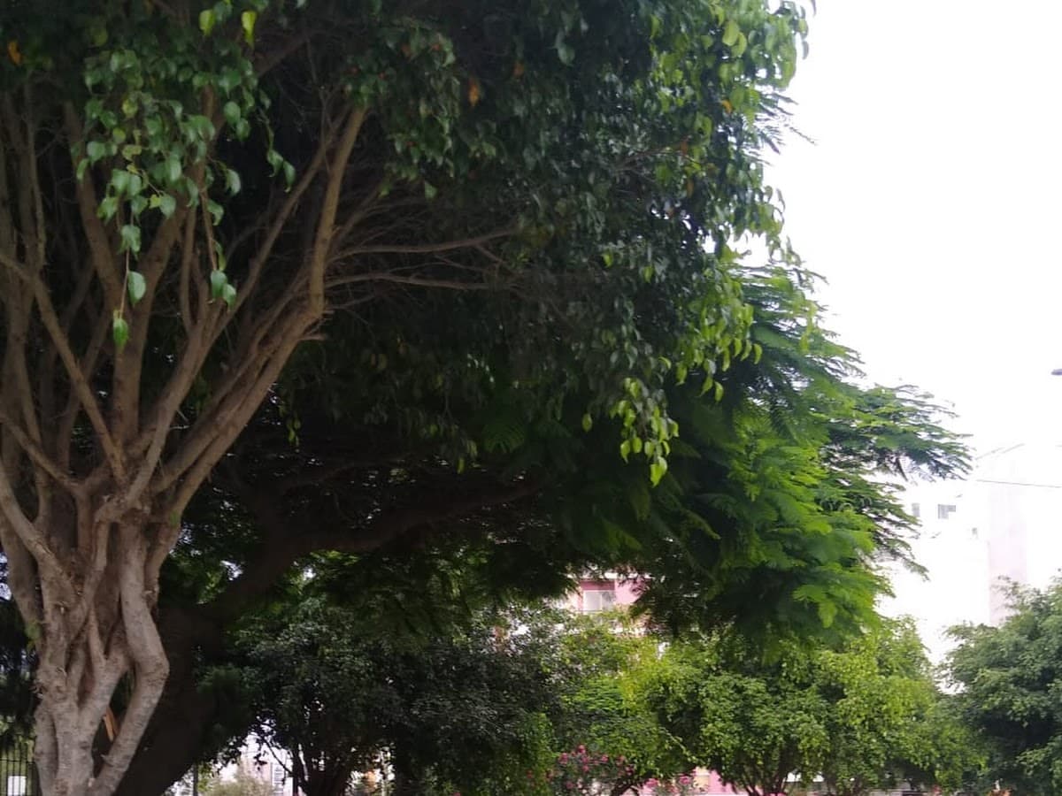 Parque La Cruz del Viajero — foto